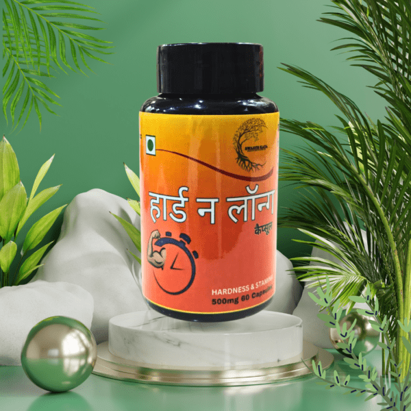 hard-n-long-capsule-ayurvedic-capsule-for-stamina-and-energy
