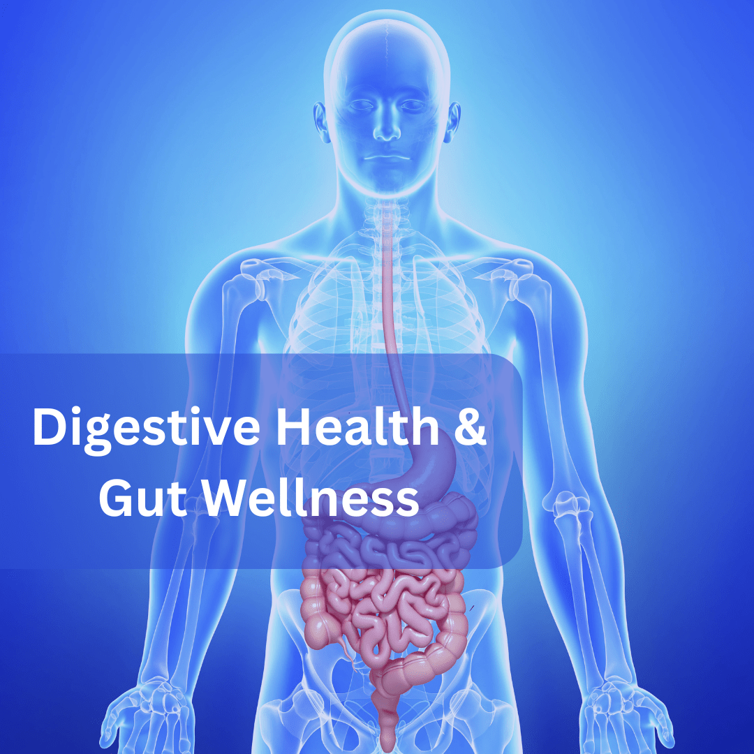 human digestive system highlighting gut health and wellness.